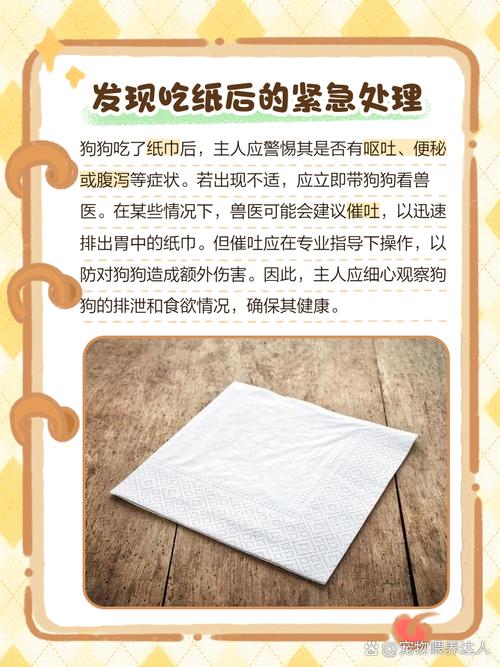 狗狗吃纸怎么办,狗子吃纸-第3张图片-后鲨宠物 狗狗吃纸怎么办,狗子吃纸-第3张图片-后鲨宠物
