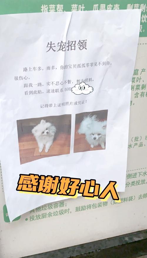 狗狗丢了怎么找_狗狗丢了怎么找玄学-第2张图片-后鲨宠物 狗狗丢了怎么找_狗狗丢了怎么找玄学-第2张图片-后鲨宠物