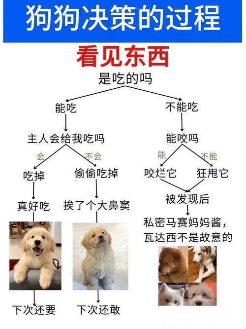 狗狗每天都在想什么,狗狗一天在想啥-第5张图片-后鲨宠物 狗狗每天都在想什么,狗狗一天在想啥-第5张图片-后鲨宠物