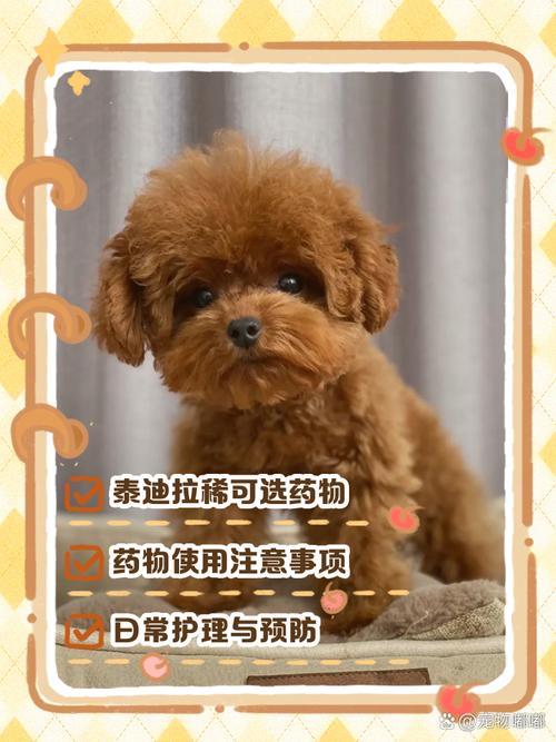 泰迪狗狗拉稀怎么办，泰迪狗狗拉稀怎么办最有效的方法？