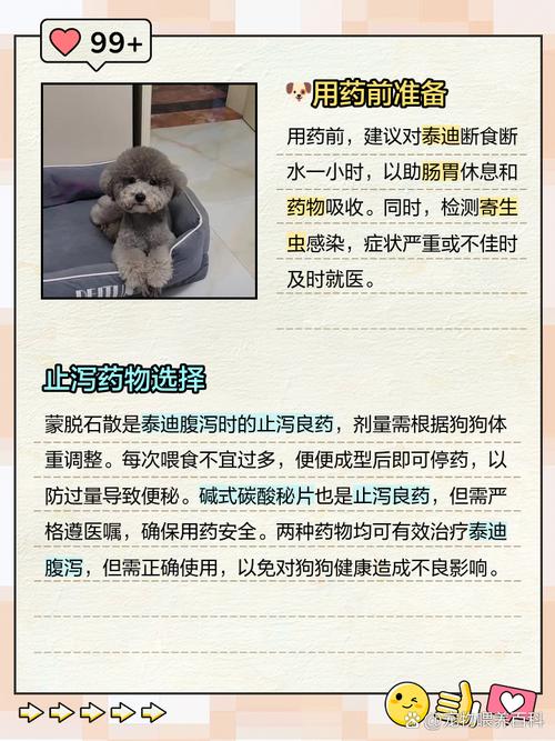 泰迪狗狗拉稀怎么办,泰迪狗狗拉稀怎么办最有效的方法?-第6张图片-后鲨宠物 泰迪狗狗拉稀怎么办,泰迪狗狗拉稀怎么办最有效的方法?-第6张图片-后鲨宠物