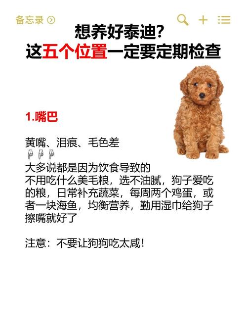 狗狗吃了海绵怎么办_狗吃了海绵呕吐有事吗-第5张图片-后鲨宠物 狗狗吃了海绵怎么办_狗吃了海绵呕吐有事吗-第5张图片-后鲨宠物