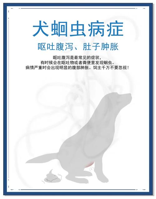 狗狗可以吃虫子吗_狗狗可以吃虫子吗有毒吗-第1张图片-后鲨宠物