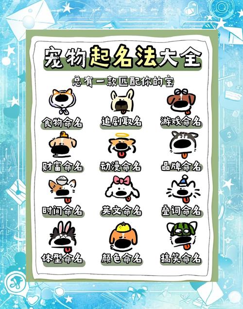 与众不同的狗狗名字,与众不同的狗狗名字有哪些?-第4张图片-后鲨宠物 与众不同的狗狗名字,与众不同的狗狗名字有哪些?-第4张图片-后鲨宠物