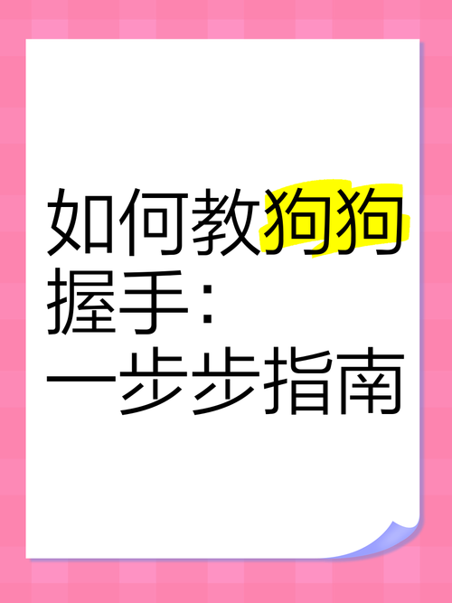 怎么让狗狗学会握手,如何让狗狗学会握手-第2张图片-后鲨宠物 怎么让狗狗学会握手,如何让狗狗学会握手-第2张图片-后鲨宠物