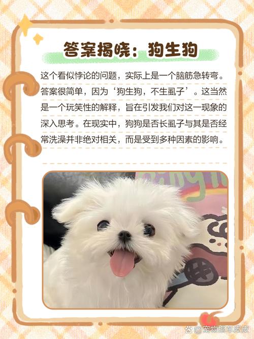 狗狗不洗澡会怎么样_狗 不洗澡-第2张图片-后鲨宠物 狗狗不洗澡会怎么样_狗 不洗澡-第2张图片-后鲨宠物