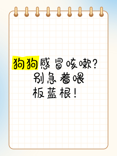 狗狗能吃板蓝根吗,狗狗能吃板蓝根么?-第1张图片-后鲨宠物 狗狗能吃板蓝根吗,狗狗能吃板蓝根么?-第1张图片-后鲨宠物