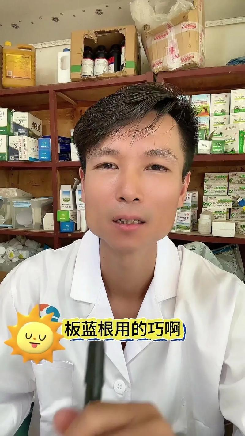 狗狗能吃板蓝根吗,狗狗能吃板蓝根么?-第5张图片-后鲨宠物 狗狗能吃板蓝根吗,狗狗能吃板蓝根么?-第5张图片-后鲨宠物