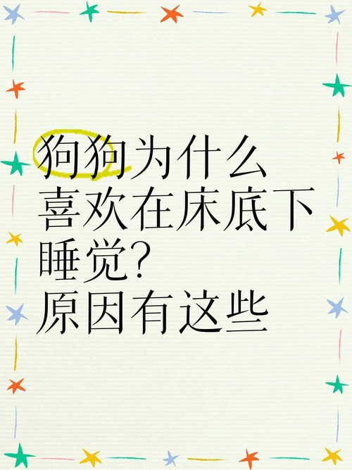 为什么狗狗喜欢睡床底,为什么狗爱睡床底下?-第2张图片-后鲨宠物 为什么狗狗喜欢睡床底,为什么狗爱睡床底下?-第2张图片-后鲨宠物