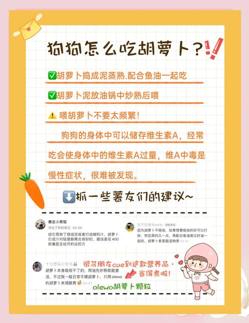 狗狗吃胡萝卜有什么好处_狗狗吃胡萝卜好消化吗-第1张图片-后鲨宠物 狗狗吃胡萝卜有什么好处_狗狗吃胡萝卜好消化吗-第1张图片-后鲨宠物