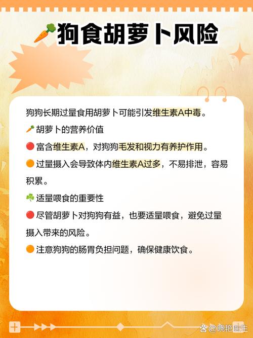 狗狗吃胡萝卜有什么好处_狗狗吃胡萝卜好消化吗-第6张图片-后鲨宠物 狗狗吃胡萝卜有什么好处_狗狗吃胡萝卜好消化吗-第6张图片-后鲨宠物