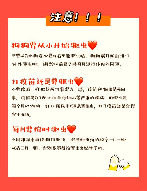 狗狗驱虫怎么做,狗狗驱虫怎么操作-第3张图片-后鲨宠物 狗狗驱虫怎么做,狗狗驱虫怎么操作-第3张图片-后鲨宠物