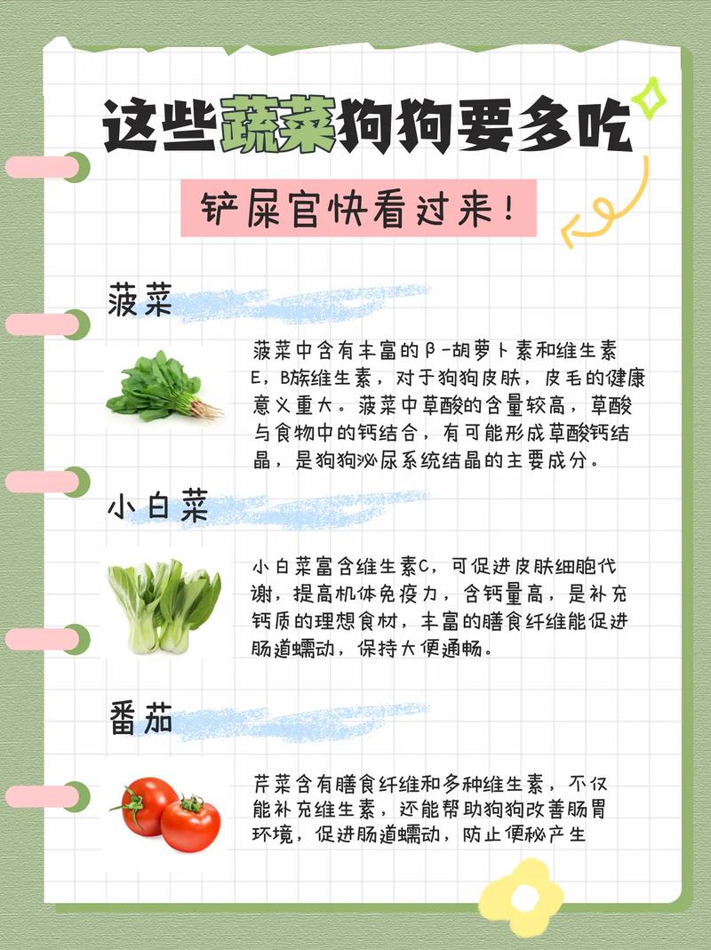 狗狗可以吃芹菜吗_狗狗吃芹菜吗会中毒吗-第2张图片-后鲨宠物 狗狗可以吃芹菜吗_狗狗吃芹菜吗会中毒吗-第2张图片-后鲨宠物