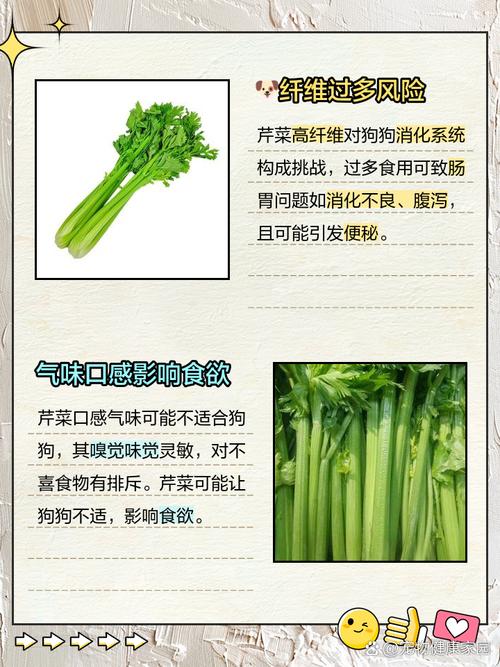 狗狗可以吃芹菜吗_狗狗吃芹菜吗会中毒吗-第3张图片-后鲨宠物 狗狗可以吃芹菜吗_狗狗吃芹菜吗会中毒吗-第3张图片-后鲨宠物