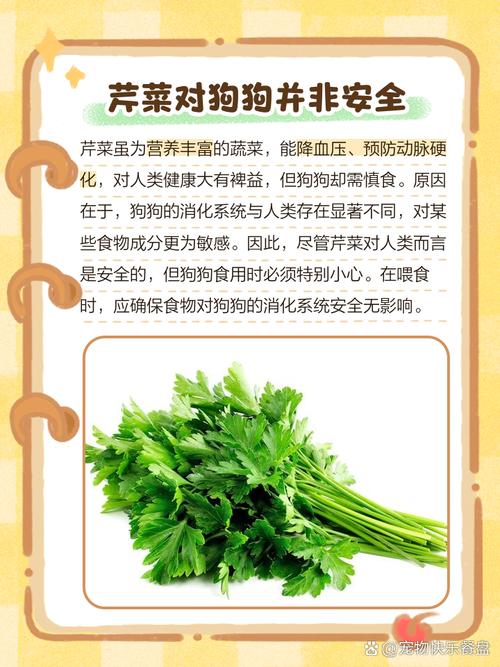 狗狗可以吃芹菜吗_狗狗吃芹菜吗会中毒吗-第5张图片-后鲨宠物 狗狗可以吃芹菜吗_狗狗吃芹菜吗会中毒吗-第5张图片-后鲨宠物