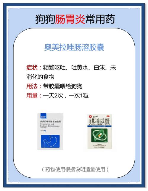 狗狗肠胃炎怎么治疗,狗狗肠胃炎的症状及治疗方法?-第1张图片-后鲨宠物 狗狗肠胃炎怎么治疗,狗狗肠胃炎的症状及治疗方法?-第1张图片-后鲨宠物