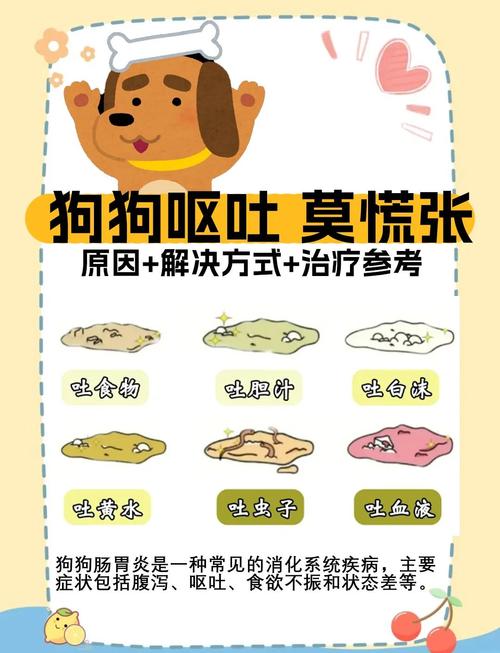 狗狗肠胃炎怎么治疗,狗狗肠胃炎的症状及治疗方法?-第5张图片-后鲨宠物 狗狗肠胃炎怎么治疗,狗狗肠胃炎的症状及治疗方法?-第5张图片-后鲨宠物