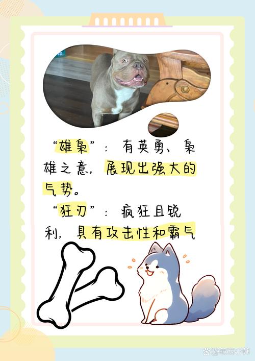 狗狗的名字霸气,狗狗的名字霸气又招财的名字-第4张图片-后鲨宠物 狗狗的名字霸气,狗狗的名字霸气又招财的名字-第4张图片-后鲨宠物