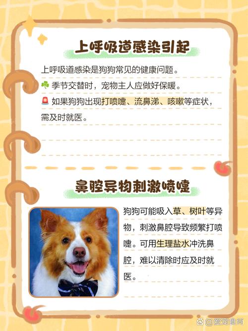 狗狗老打喷嚏是怎么回事_狗狗老打喷嚏是怎么回事,怎么治疗?-第1张图片-后鲨宠物 狗狗老打喷嚏是怎么回事_狗狗老打喷嚏是怎么回事,怎么治疗?-第1张图片-后鲨宠物