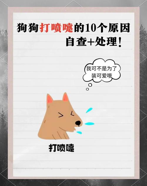 狗狗老打喷嚏是怎么回事_狗狗老打喷嚏是怎么回事,怎么治疗?-第5张图片-后鲨宠物 狗狗老打喷嚏是怎么回事_狗狗老打喷嚏是怎么回事,怎么治疗?-第5张图片-后鲨宠物