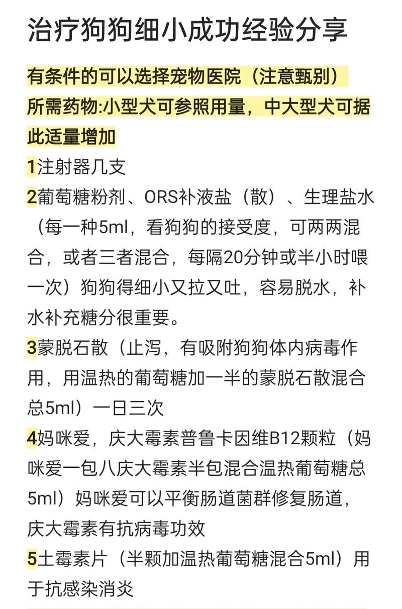 狗狗得细小了怎么办,狗狗得了细小怎么办,还能救活吗?-第4张图片-后鲨宠物 狗狗得细小了怎么办,狗狗得了细小怎么办,还能救活吗?-第4张图片-后鲨宠物