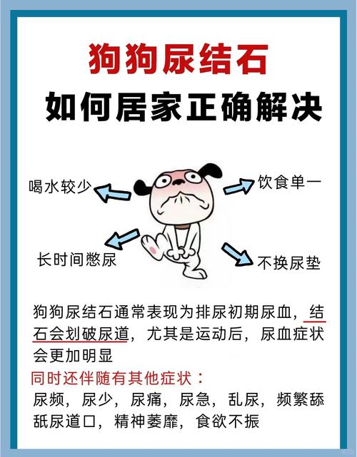 狗狗尿血怎么办_狗狗结石尿血怎么治疗-第1张图片-后鲨宠物 狗狗尿血怎么办_狗狗结石尿血怎么治疗-第1张图片-后鲨宠物