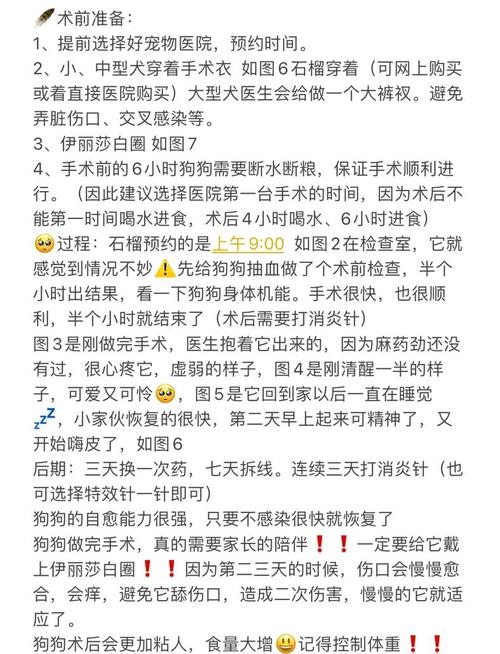 狗狗绝育手术费用,狗绝育手术费用多少-第1张图片-后鲨宠物 狗狗绝育手术费用,狗绝育手术费用多少-第1张图片-后鲨宠物