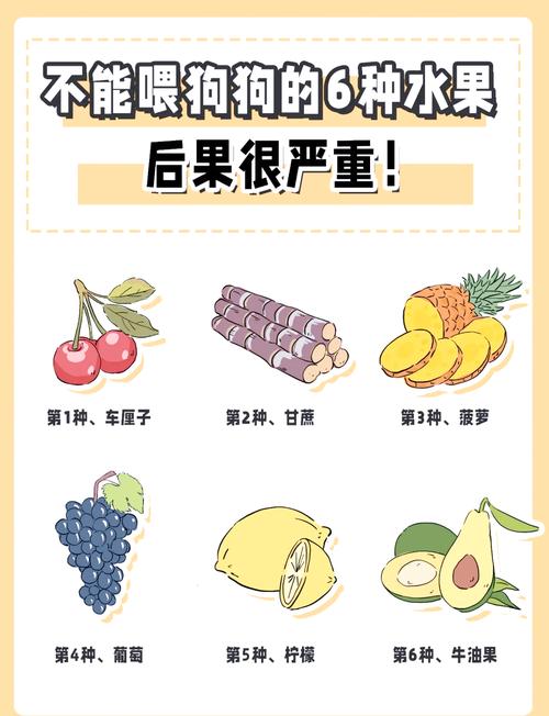 狗狗不能吃什么水果_狗狗不能吃什么水果?-第2张图片-后鲨宠物 狗狗不能吃什么水果_狗狗不能吃什么水果?-第2张图片-后鲨宠物