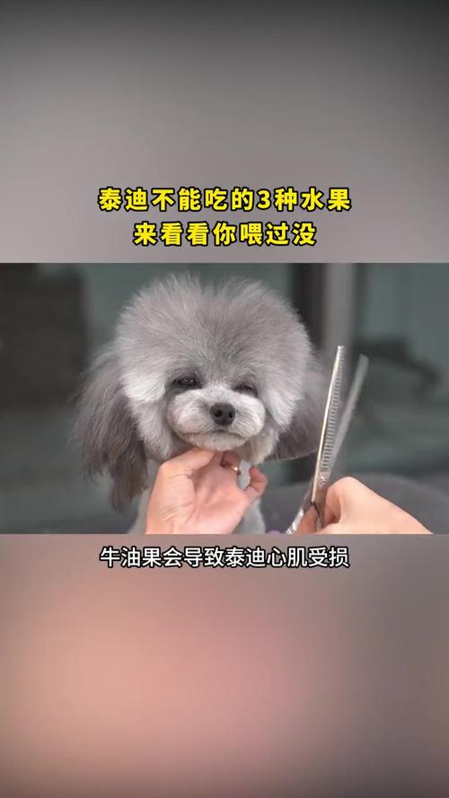 狗狗不能吃什么水果_狗狗不能吃什么水果?-第3张图片-后鲨宠物 狗狗不能吃什么水果_狗狗不能吃什么水果?-第3张图片-后鲨宠物