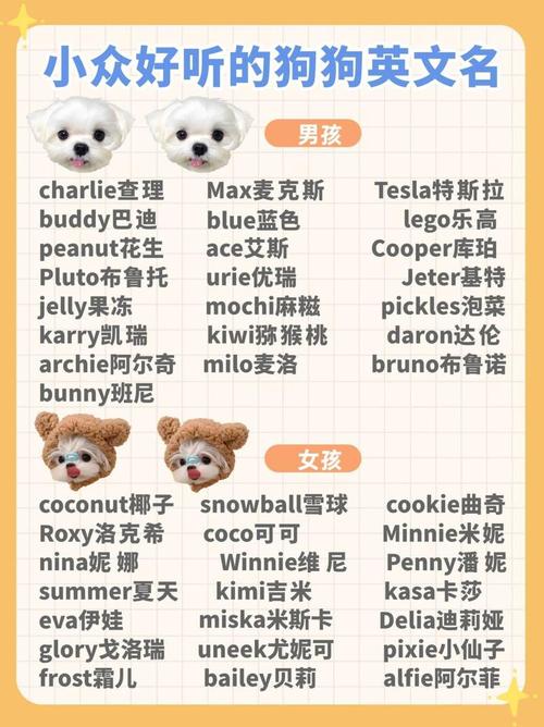 给狗狗取英文名,给狗狗取英文名的主人?-第5张图片-后鲨宠物 给狗狗取英文名,给狗狗取英文名的主人?-第5张图片-后鲨宠物