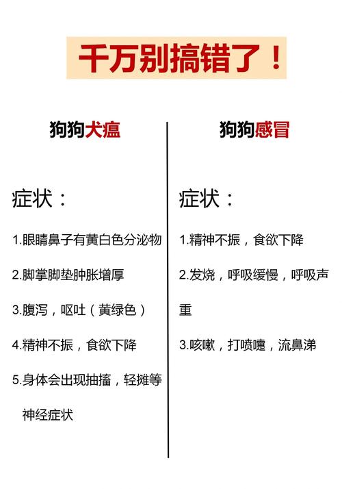 狗狗感冒和犬瘟的区别,狗狗感冒和犬瘟的区别在哪?-第2张图片-后鲨宠物 狗狗感冒和犬瘟的区别,狗狗感冒和犬瘟的区别在哪?-第2张图片-后鲨宠物