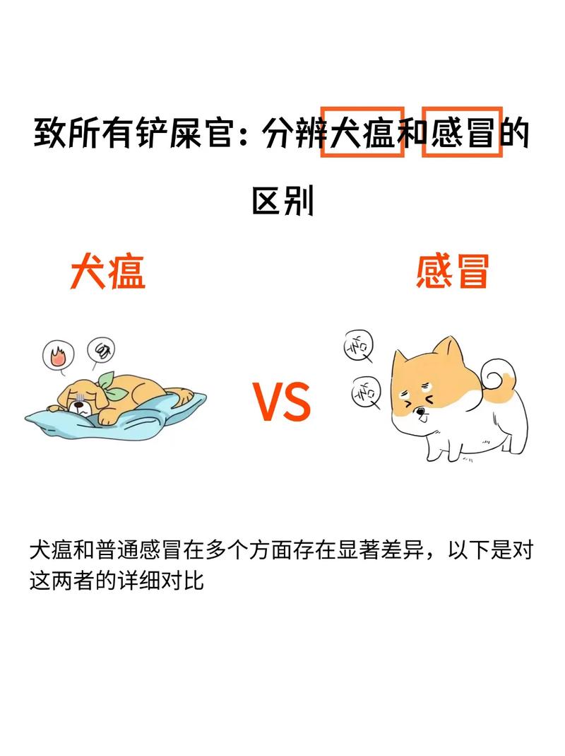 狗狗感冒和犬瘟的区别,狗狗感冒和犬瘟的区别在哪?-第4张图片-后鲨宠物 狗狗感冒和犬瘟的区别,狗狗感冒和犬瘟的区别在哪?-第4张图片-后鲨宠物