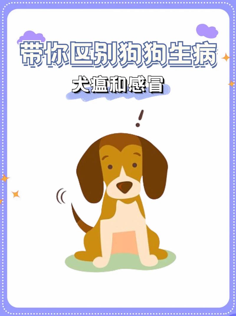 狗狗感冒和犬瘟的区别,狗狗感冒和犬瘟的区别在哪?-第5张图片-后鲨宠物 狗狗感冒和犬瘟的区别,狗狗感冒和犬瘟的区别在哪?-第5张图片-后鲨宠物