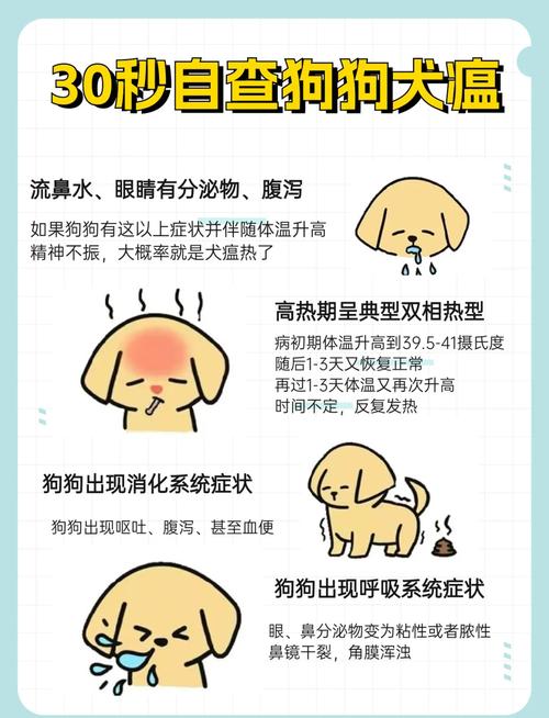 狗狗得犬瘟怎么办_狗狗得了犬瘟病怎么治-第1张图片-后鲨宠物 狗狗得犬瘟怎么办_狗狗得了犬瘟病怎么治-第1张图片-后鲨宠物