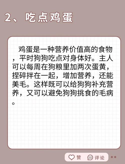 吃什么能让狗狗长胖_吃什么能让狗狗长胖点-第1张图片-后鲨宠物 吃什么能让狗狗长胖_吃什么能让狗狗长胖点-第1张图片-后鲨宠物