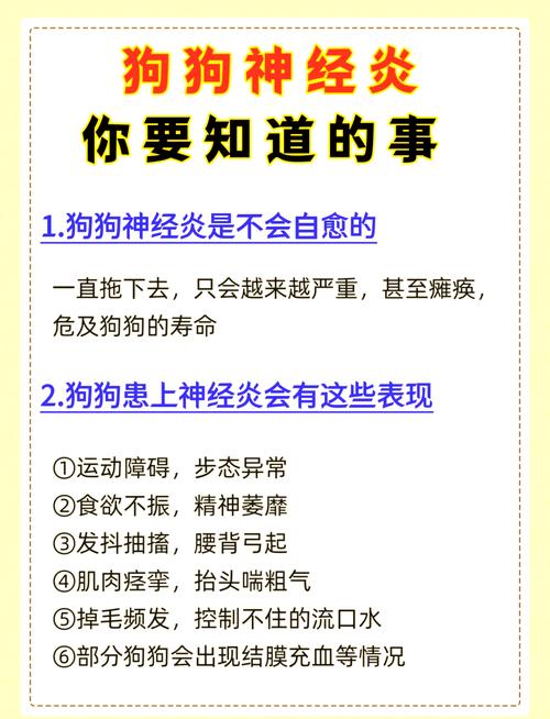 狗狗如何避免得脑炎,狗狗如何避免得脑炎呢?-第4张图片-后鲨宠物 狗狗如何避免得脑炎,狗狗如何避免得脑炎呢?-第4张图片-后鲨宠物