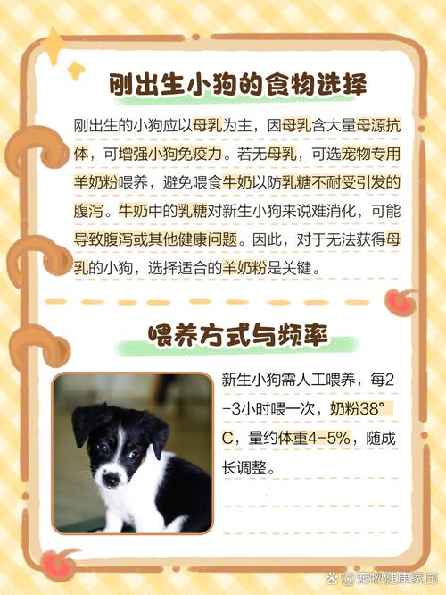 狗狗能吃婴儿奶粉吗,狗狗能喝婴儿奶粉-第3张图片-后鲨宠物 狗狗能吃婴儿奶粉吗,狗狗能喝婴儿奶粉-第3张图片-后鲨宠物