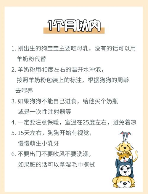 狗狗能吃婴儿奶粉吗,狗狗能喝婴儿奶粉-第6张图片-后鲨宠物 狗狗能吃婴儿奶粉吗,狗狗能喝婴儿奶粉-第6张图片-后鲨宠物