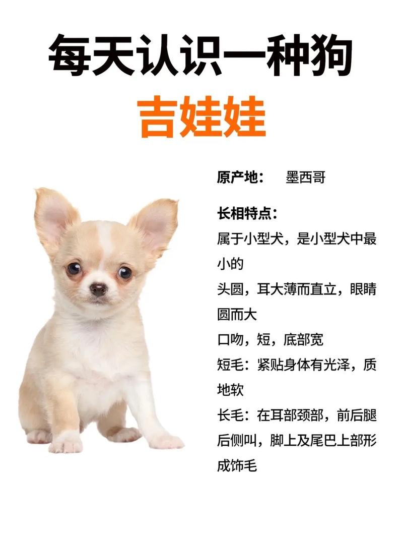 狗狗39.4算发烧吗,狗狗395是否发烧了?-第3张图片-后鲨宠物 狗狗39.4算发烧吗,狗狗395是否发烧了?-第3张图片-后鲨宠物