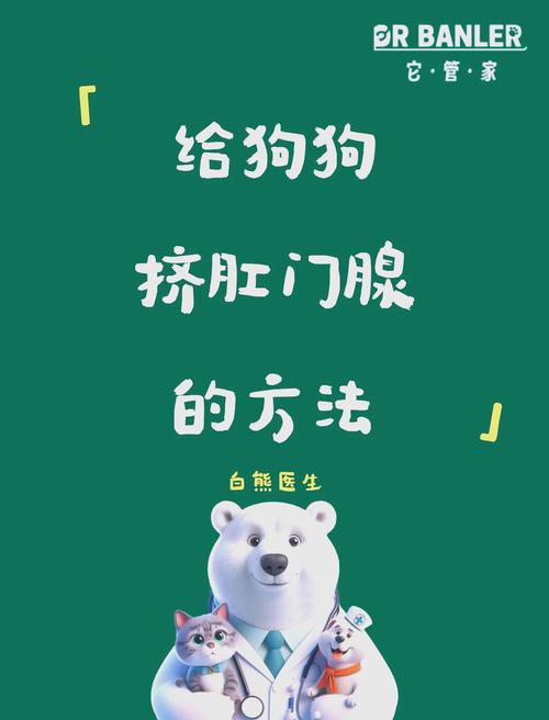 狗狗肛门腺怎么挤_狗狗肛门腺怎么挤怎么治疗-第2张图片-后鲨宠物