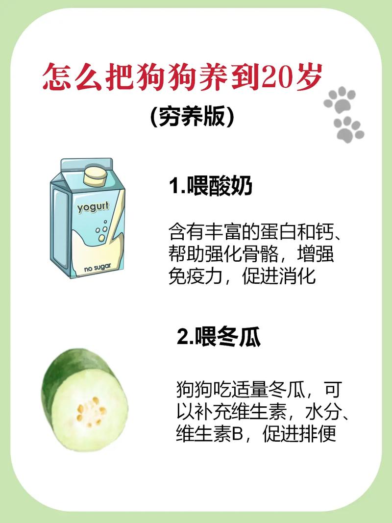 怎样让狗狗吃狗粮,怎样让狗狗吃狗粮不长肉?-第4张图片-后鲨宠物 怎样让狗狗吃狗粮,怎样让狗狗吃狗粮不长肉?-第4张图片-后鲨宠物