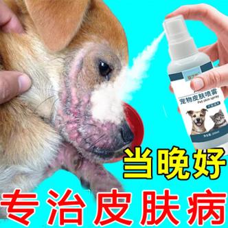 狗狗身上有癣用什么药_狗狗身上有癣怎么办买什么药膏-第4张图片-后鲨宠物 狗狗身上有癣用什么药_狗狗身上有癣怎么办买什么药膏-第4张图片-后鲨宠物