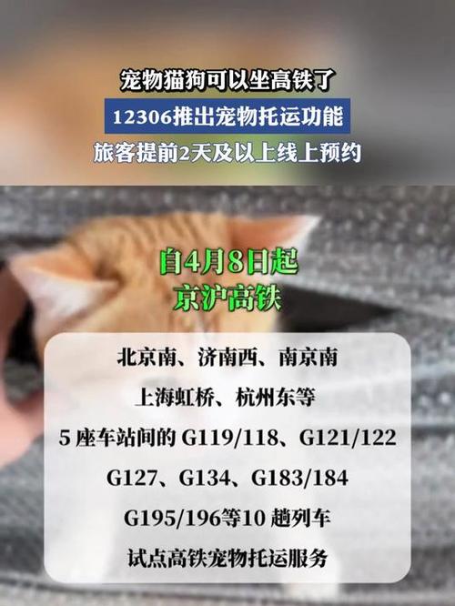 狗狗可以坐高铁吗,狗狗可以坐高铁吗需要办什么手续?-第1张图片-后鲨宠物 狗狗可以坐高铁吗,狗狗可以坐高铁吗需要办什么手续?-第1张图片-后鲨宠物