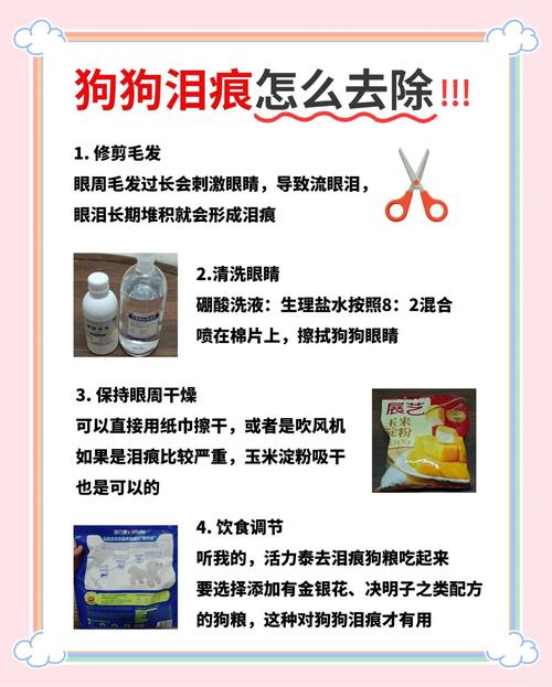 白色狗狗泪痕处理方法,狗狗白泪障怎么治疗-第1张图片-后鲨宠物 白色狗狗泪痕处理方法,狗狗白泪障怎么治疗-第1张图片-后鲨宠物