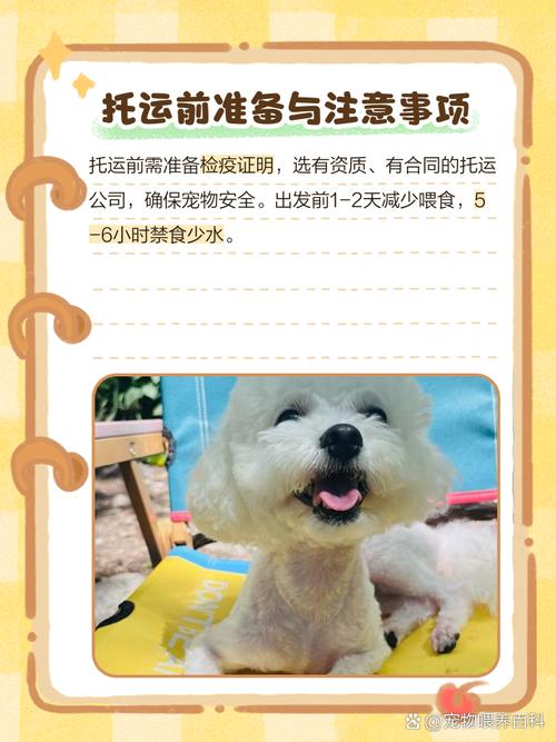 顺风车可以带狗狗吗_打顺风车能带狗吗-第1张图片-后鲨宠物 顺风车可以带狗狗吗_打顺风车能带狗吗-第1张图片-后鲨宠物