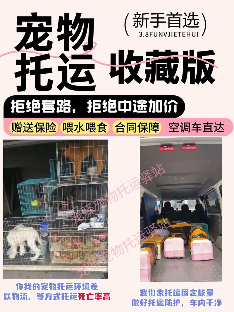 顺风车可以带狗狗吗_打顺风车能带狗吗-第3张图片-后鲨宠物 顺风车可以带狗狗吗_打顺风车能带狗吗-第3张图片-后鲨宠物