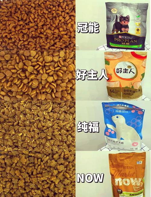 狗狗多大可以吃硬狗粮,狗狗多大能吃硬狗粮-第2张图片-后鲨宠物 狗狗多大可以吃硬狗粮,狗狗多大能吃硬狗粮-第2张图片-后鲨宠物