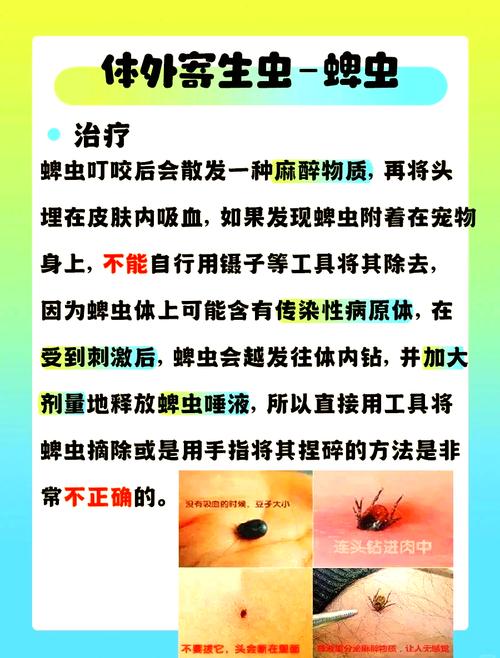 狗狗蜱虫怎么来的,狗狗蜱虫感染引起的四种病?-第6张图片-后鲨宠物 狗狗蜱虫怎么来的,狗狗蜱虫感染引起的四种病?-第6张图片-后鲨宠物