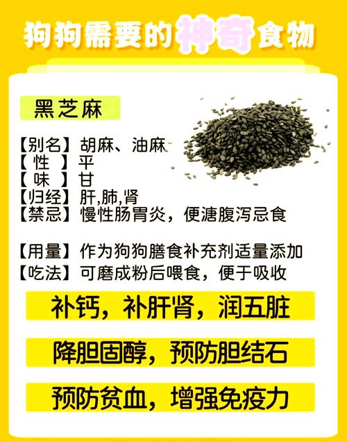 狗狗可以吃黑芝麻吗_狗狗可以吃黑芝麻吗有营养吗-第5张图片-后鲨宠物 狗狗可以吃黑芝麻吗_狗狗可以吃黑芝麻吗有营养吗-第5张图片-后鲨宠物