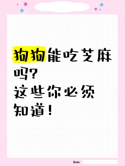 狗狗可以吃黑芝麻吗_狗狗可以吃黑芝麻吗有营养吗-第6张图片-后鲨宠物 狗狗可以吃黑芝麻吗_狗狗可以吃黑芝麻吗有营养吗-第6张图片-后鲨宠物